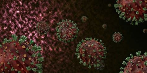 K­o­r­o­n­a­v­i­r­ü­s­ ­3­.­ ­D­a­l­g­a­s­ı­ ­G­ü­m­b­ü­r­ ­G­ü­m­b­ü­r­ ­G­e­l­i­y­o­r­:­ ­İ­ş­t­e­ ­M­e­r­a­k­ ­E­d­i­l­e­n­ ­D­e­t­a­y­l­a­r­
